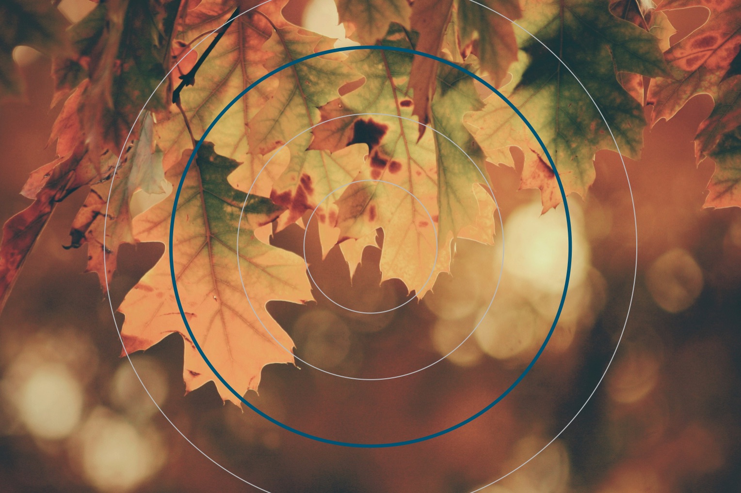 Das waren sie: Die tollsten HubSpot Updates vom Oktober